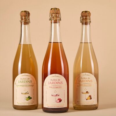 Kit Pétillants gastronomiques | Bulles de Jardins - 3 recettes