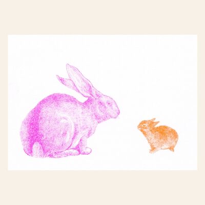 Postcard bunnies