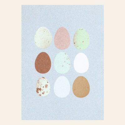 Natura delle uova della cartolina