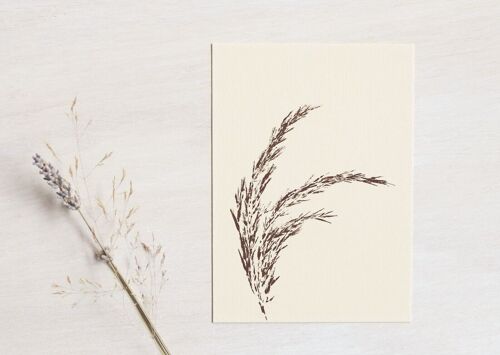 Carte florale "Roseau" • collection Empreintes • A6 (enveloppe incluse)