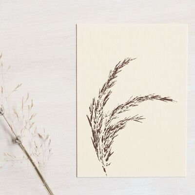 Blumenkarte „Roseau“ • Empreintes-Kollektion • A6 (inkl. Umschlag)