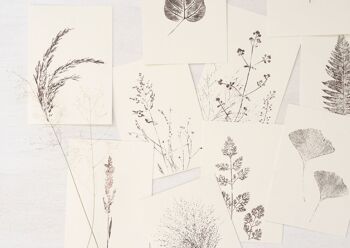 Carte florale "Roseau" • collection Empreintes • A6 (enveloppe incluse) 3