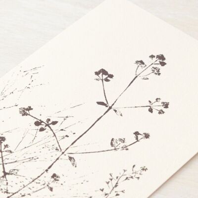 Carte fleurs "Prairie d'été" • collection Empreintes • A6 (enveloppe incluse)