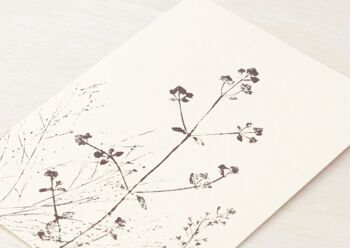 Carte fleurs "Prairie d'été" • collection Empreintes • A6 (enveloppe incluse) 1