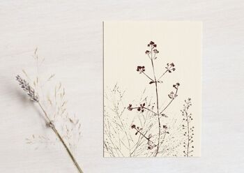 Carte fleurs "Prairie d'été" • collection Empreintes • A6 (enveloppe incluse) 2