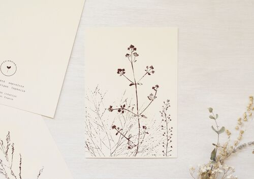Carte fleurs "Prairie d'été" • collection Empreintes • A6 (enveloppe incluse) - papeterie artisanale