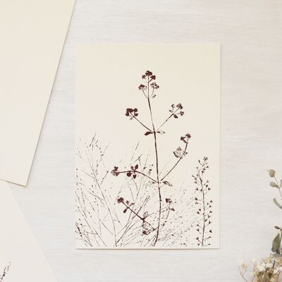 Biglietto floreale “Prato estivo” • Collezione Empreintes • A6 (busta inclusa) - cancelleria artigianale
