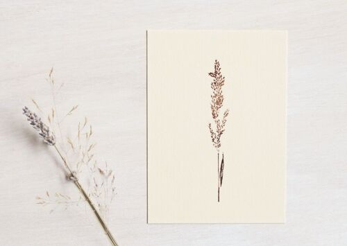 Carte florale "Graminée calamagrostis" • collection Empreintes • A6 (enveloppe incluse)