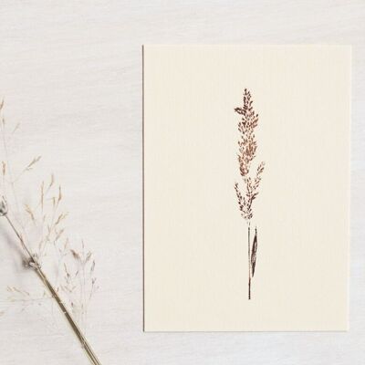 Carte florale "Graminée calamagrostis" • collection Empreintes • A6 (enveloppe incluse)