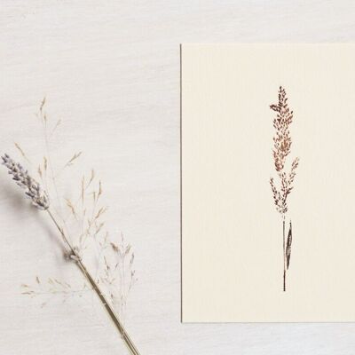 Tarjeta floral "Graminée calamagrostis" • Colección Empreintes • A6 (sobre incluido)