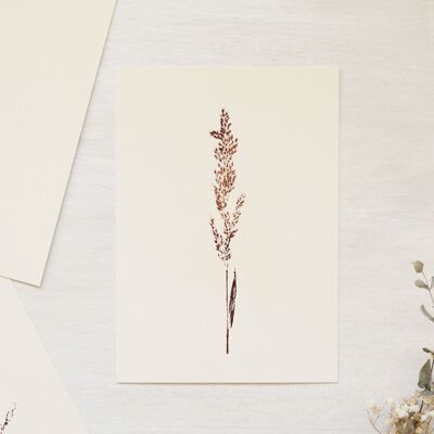 Tarjeta floral "Graminée calamagrostis" • Colección Empreintes • A6 (sobre incluido)