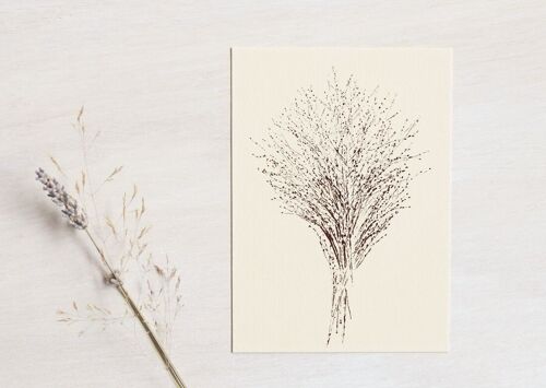 Carte florale "Graminée panicum" • collection Empreintes • A6 (enveloppe incluse)