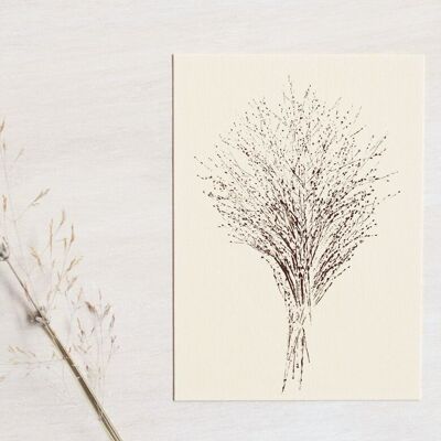 Carte florale "Graminée panicum" • collection Empreintes • A6 (enveloppe incluse)