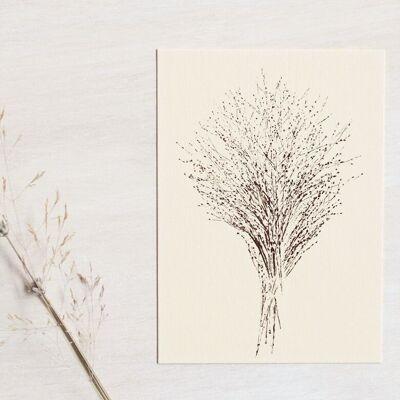 Blumenkarte „Graminée panicum“ • Kollektion Empreintes • A6 (Umschlag inklusive)