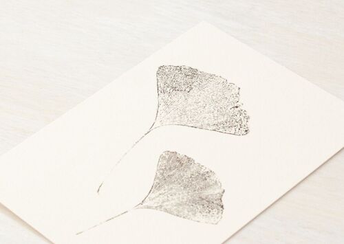Carte feuilles "Ginkgo" • collection Empreintes • A6 (enveloppe incluse)
