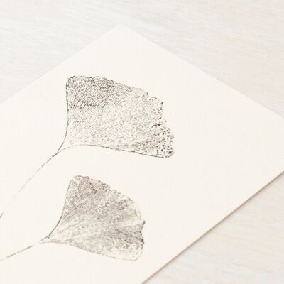 Carte feuilles "Ginkgo" • collection Empreintes • A6 (enveloppe incluse)