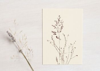 Carte "Fleurs sauvages" • collection Empreintes • A6 (enveloppe incluse) 1