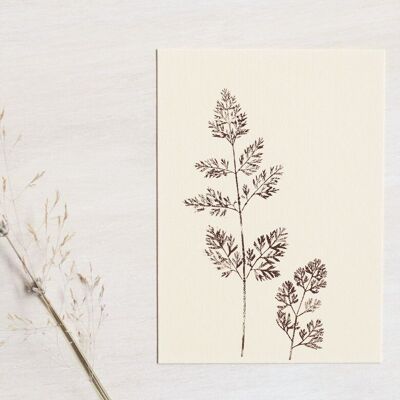 Biglietto con foglie “Wild Carrot” • Collezione Empreintes • A6 (busta inclusa)