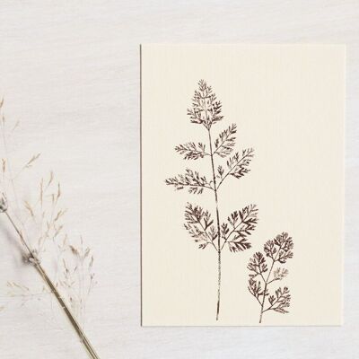 “Wild Carrot” foliage card • Empreintes collection • A6 (envelope included)