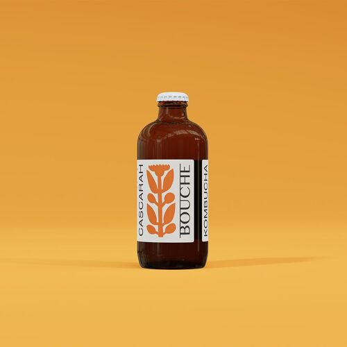 CASCARAH • KOMBUCHA • 12 × 0,33 • BIO