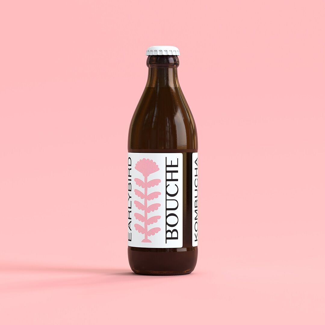 EARLYBIRD • KOMBUCHA • 12 × 0,33 • BIO