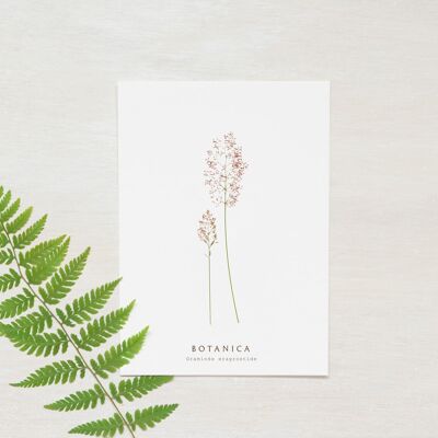 Tarjeta hecha a mano "Hierba" • Colección Botanica • A6 (sobre incluido)