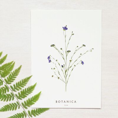 Blumenkarte „Leinen“ • Botanica-Kollektion • A6 (inkl. Umschlag)