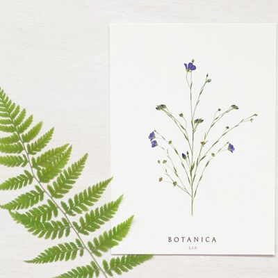 Biglietto floreale “Lino” • Collezione Botanica • A6 (busta inclusa)