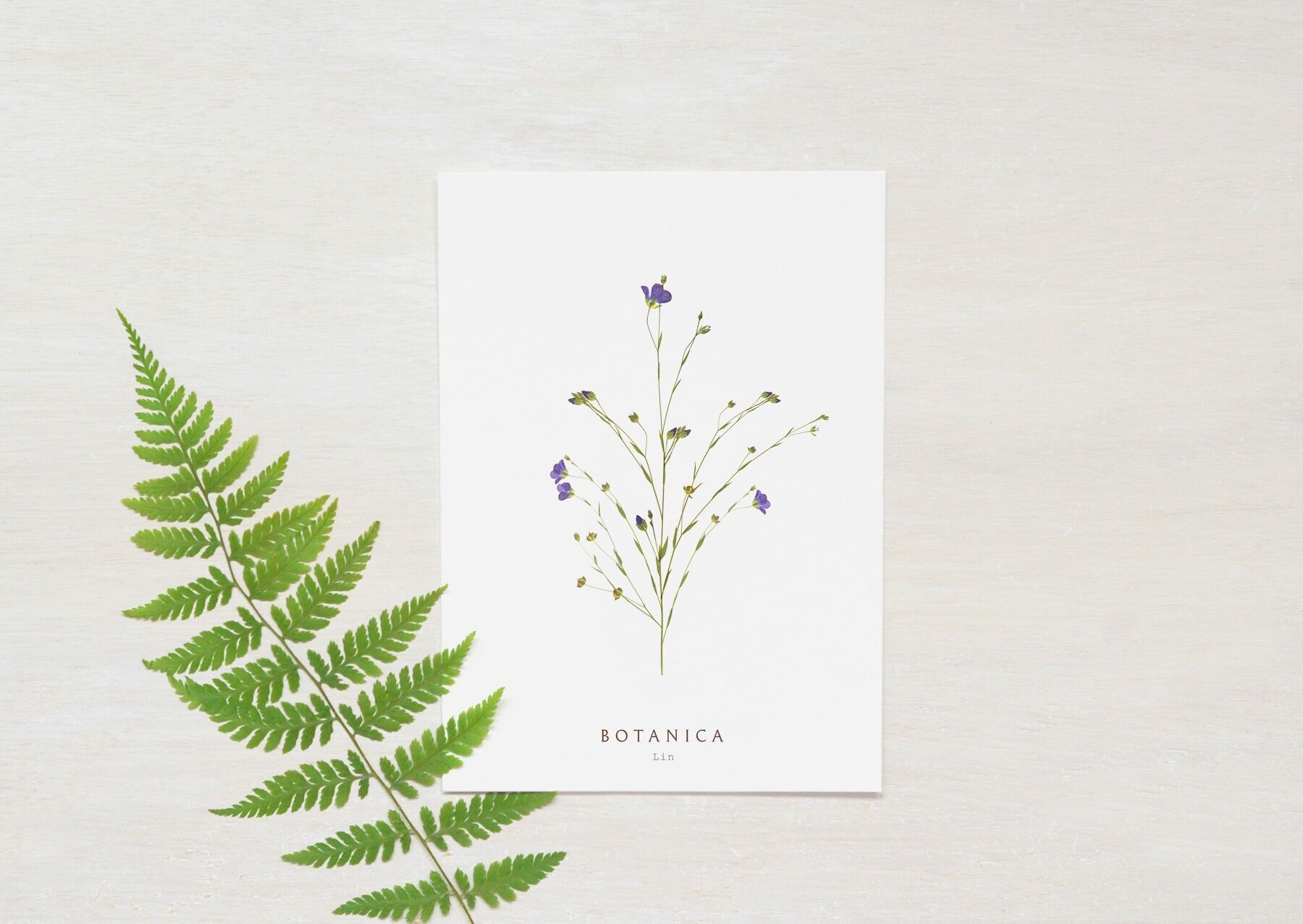 Biglietto floreale “Lino” • Collezione Botanica • A6 (busta inclusa)