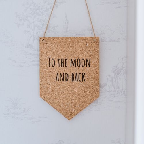 To the moon and back