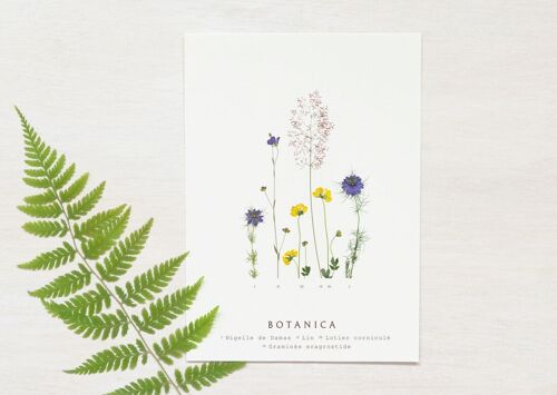 Carte florale "Prairie d'été" • collection Botanica • A6 (enveloppe incluse)
