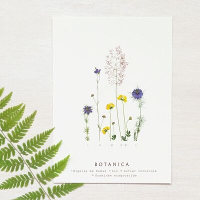 Tarjeta floral “Prado de verano” • Colección Botanica • A6 (sobre incluido)