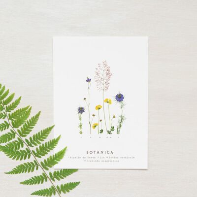 Tarjeta floral “Prado de verano” • Colección Botanica • A6 (sobre incluido)