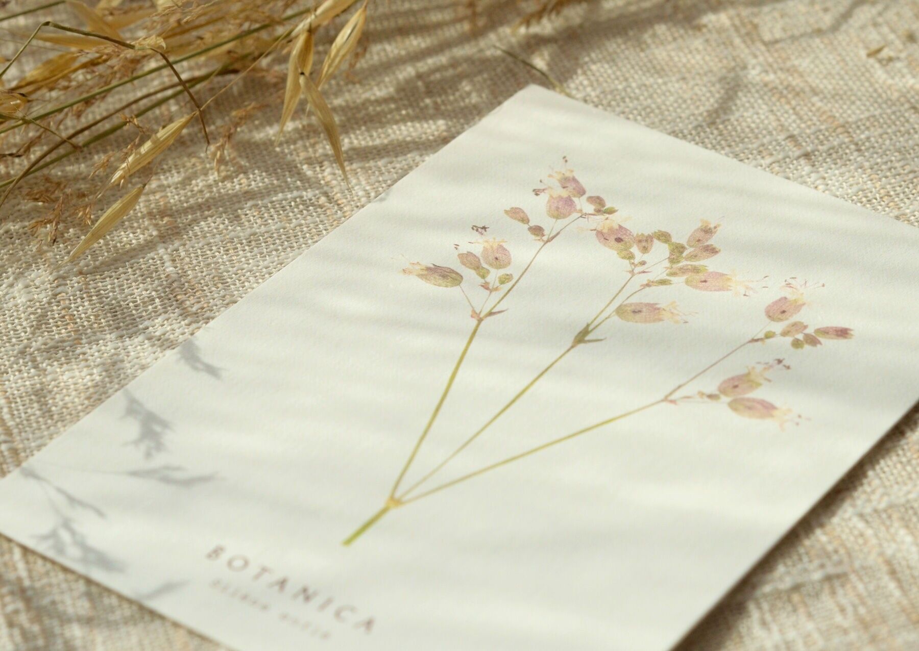 Biglietto floreale “Silène” • Collezione Botanica • A6 (busta inclusa)