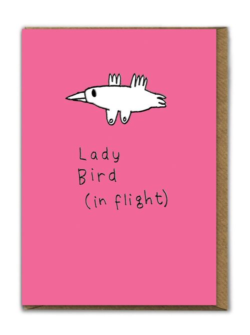 Funny EMBOSSED Birthday Card - Ladybird In Flight