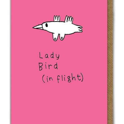 Funny EMBOSSED Birthday Card - Ladybird In Flight