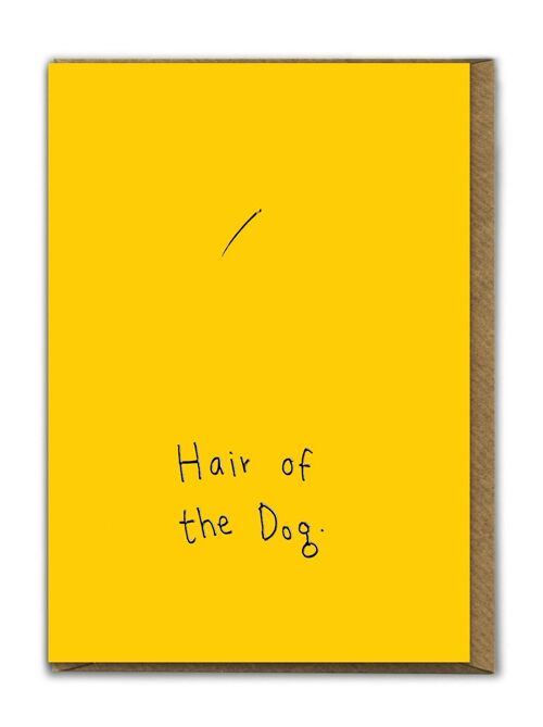 Funny EMBOSSED Birthday Card - Hair Of The Dog