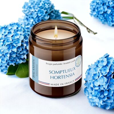 Somptueux Hortensia - Bougie Parfumée 140G