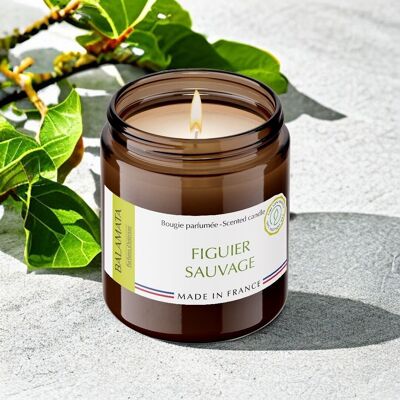 Wild Fig Tree - Scented Candle 140G - In Corsica