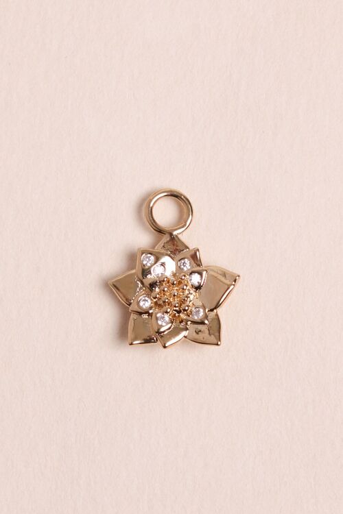Charms Rosia