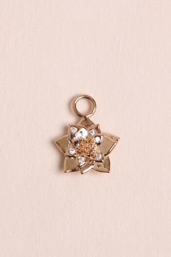 Charms Rosia 1