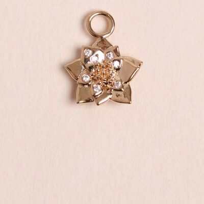 Charms Rosia
