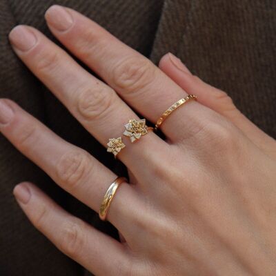 Rosia Double Ring