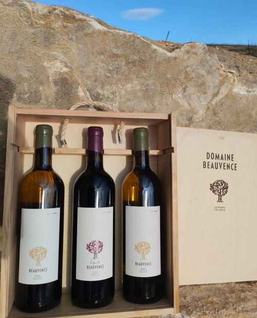 Savourez l'Exceptionnel : Trio de Vins Choisis pour la Fête des Pères, Une bouteille de vin rouge et deux bouteilles de vin blanc