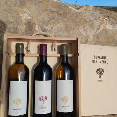 Savourez l'Exceptionnel : Trio de Vins Choisis pour la Fête des Pères, Une bouteille de vin rouge et deux bouteilles de vin blanc