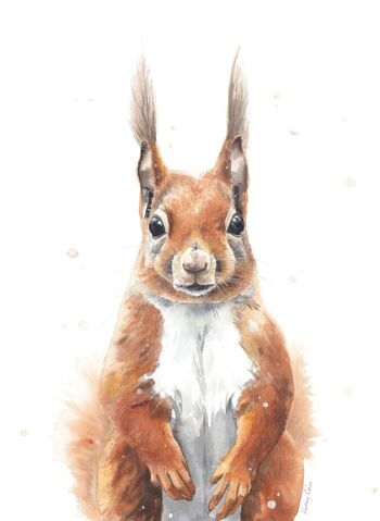 Portrait d'écureuil - Carte de vœux 2