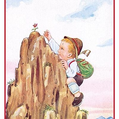 Postcard the mountain man