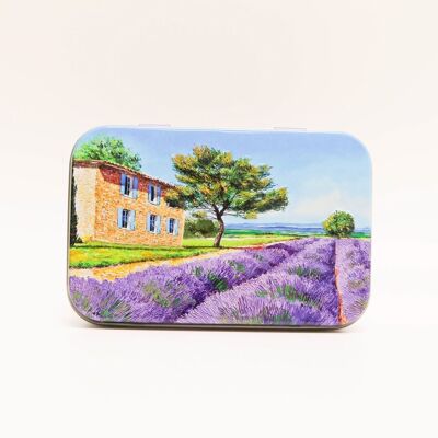 Jabonera de Hierro – Campo de Lavanda