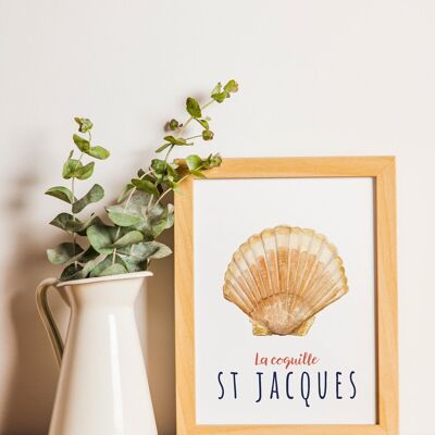 POSTER THE SAINT JACQUES SHELL