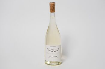 AOC Palette Blanc Château Des Trois Sautets Bio 75 cl 1